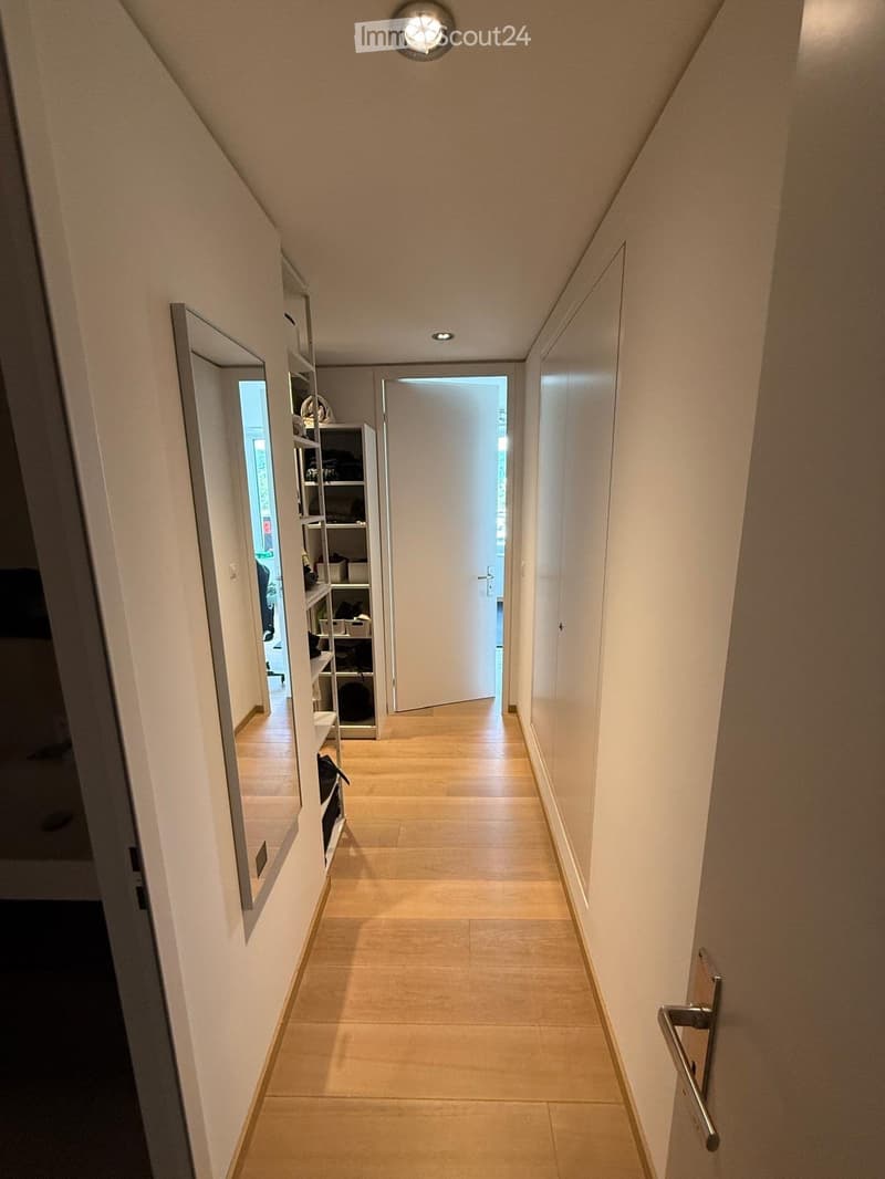 A modern hallway with light-colored walls, wooden flooring, and recessed lighting. A white door is visible at the end, and a mirrored cabinet with shelves is on the left side.