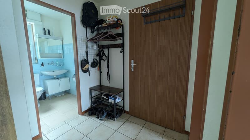 Hallway with a shoe rack, a backpack, and a small bathroom visible through an open doorway. The bathroom includes a sink, toilet, and mirror.