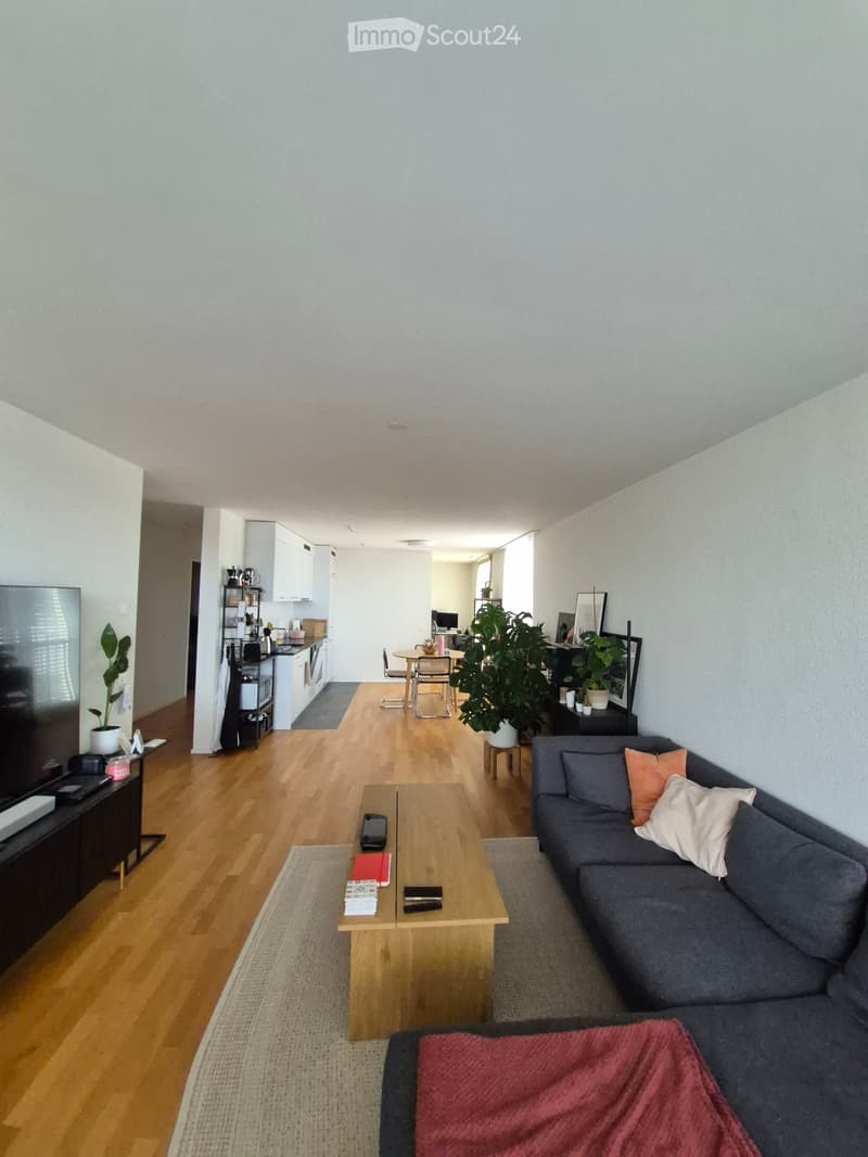 Open-plan living and dining area with a grey sectional sofa, wooden coffee table, flat-screen TV, kitchen area with white cabinets, dining table with chairs, and several potted plants.