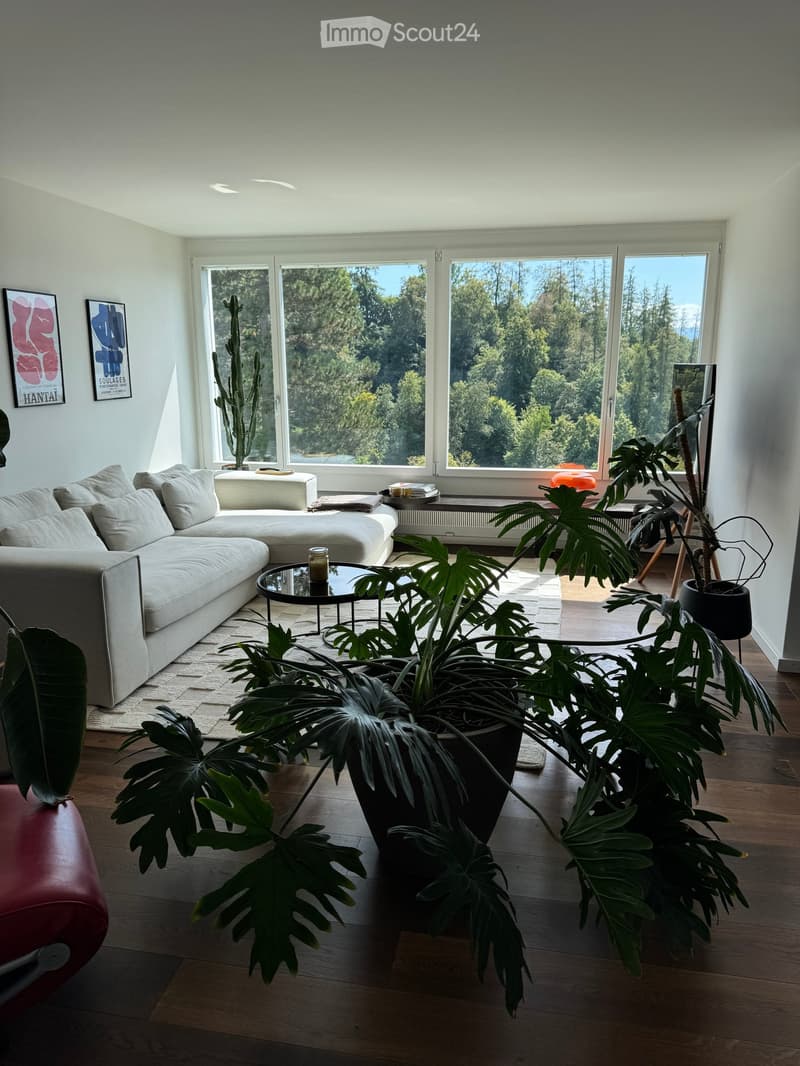 Bright living room with large windows offering a view of trees, featuring a grey sectional sofa, coffee table, potted plants, and artwork on the walls.