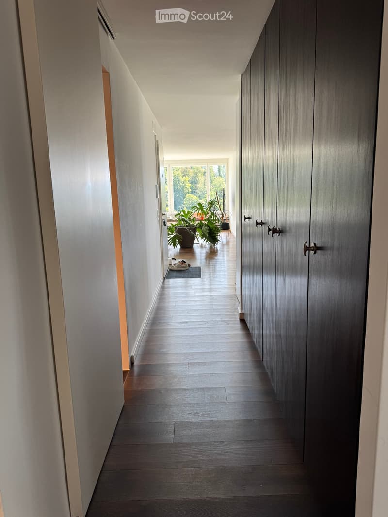 Modern hallway with dark wooden flooring, white walls, built-in dark wood cabinets, and a view into a room with plants and a rug.