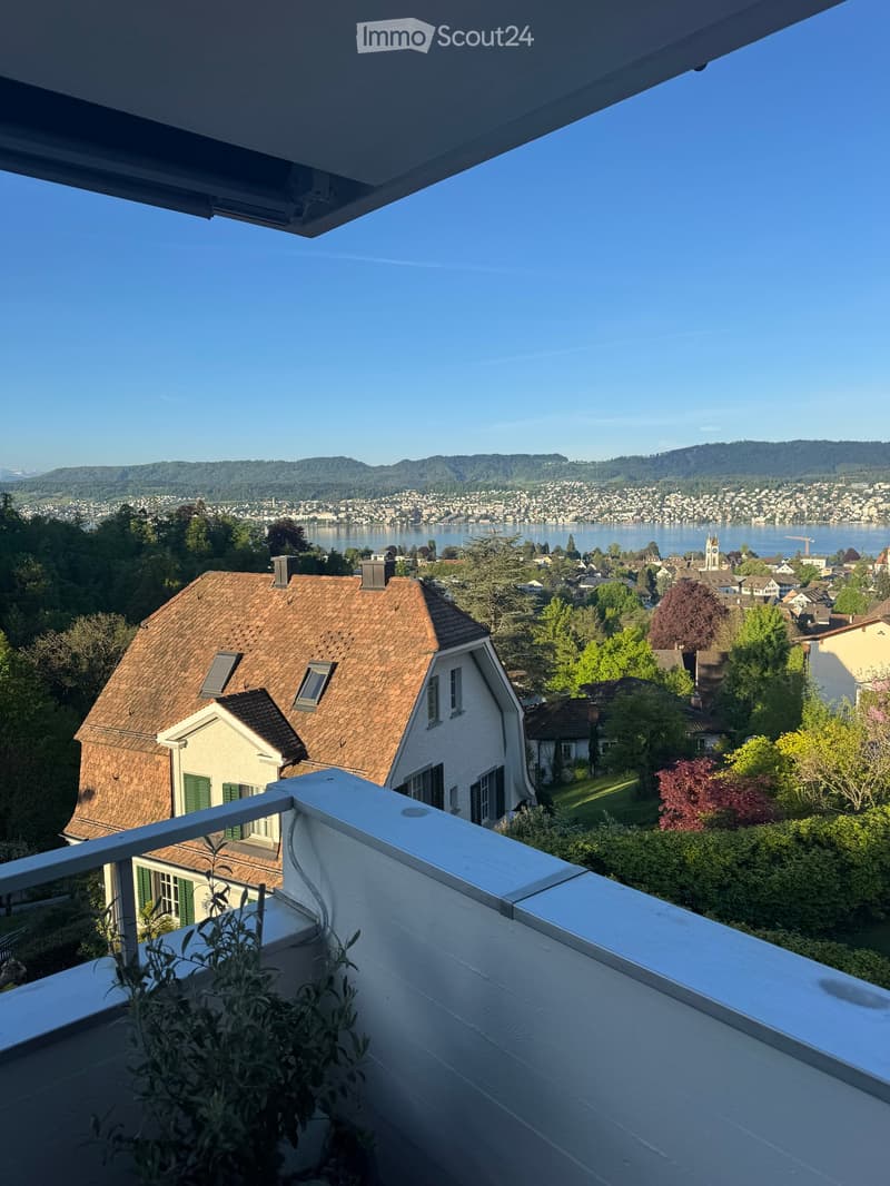 Balcony overlooking a scenic town with a lake and distant mountains, featuring a white railing and some potted plants.