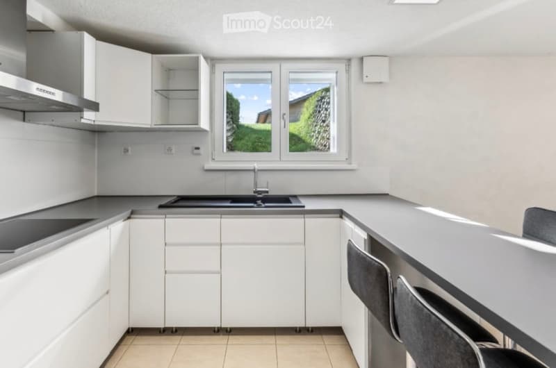 Modern kitchen with white cabinets, stainless steel appliances, and a large window overlooking a green area.