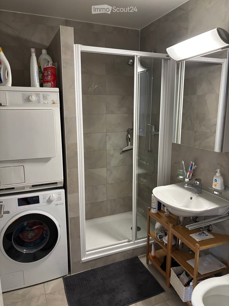 Modern bathroom with a washing machine, sink, toilet, and a glass-enclosed shower. Wooden shelf holds toiletries and cleaning supplies.