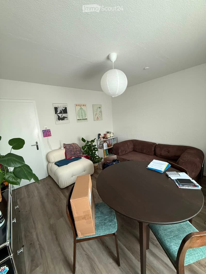 A cozy living room with a white sofa, a dark brown sofa, a round wooden table with two chairs, a hanging lamp, a potted plant, and a small bookshelf with books and decorative items.