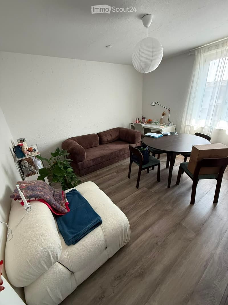 A cozy living room with a brown sectional sofa, a white armchair, a round wooden dining table with chairs, a hanging lamp, a small plant, and a shelf with various items.