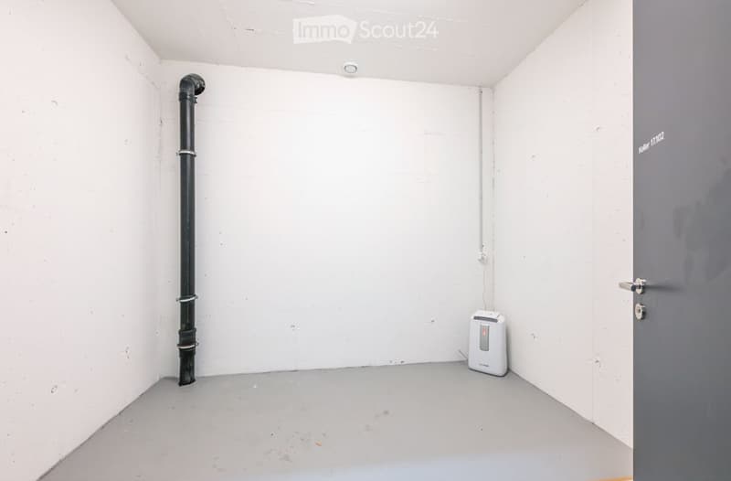 Empty room with white walls, grey floor, a black pipe, a grey door, and a small white appliance in the corner.