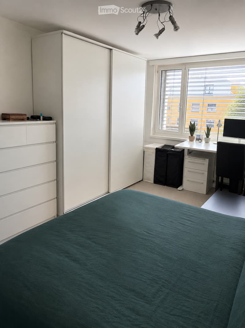 Modern bedroom with a large bed covered in teal bedding, a white wardrobe, a desk with a computer monitor, chair, and small potted plants, and a window with blinds.