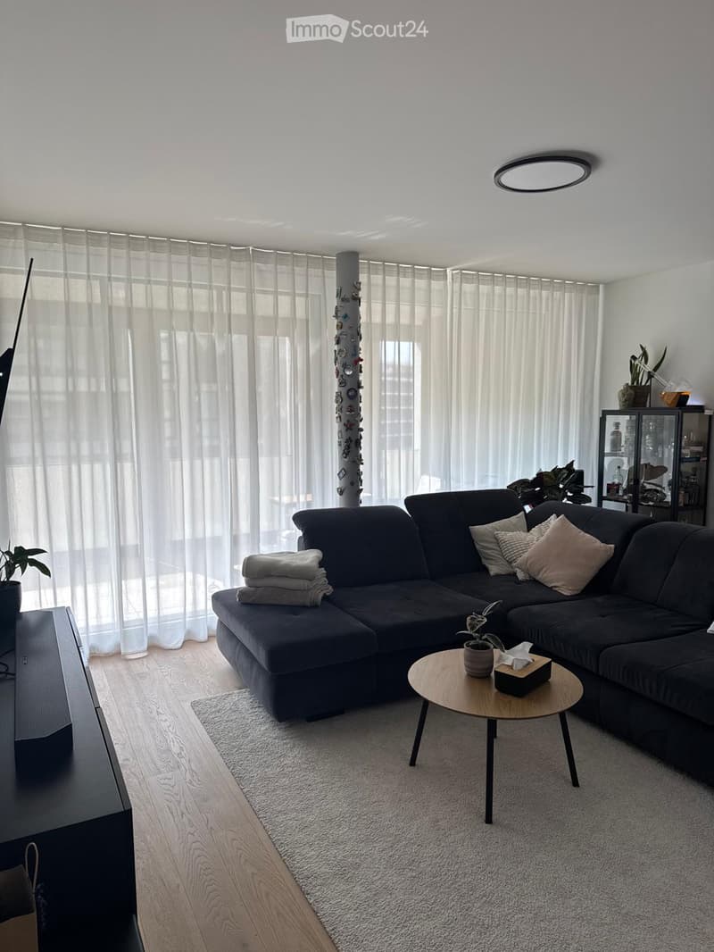 Modern living room with a dark grey sectional sofa, a round wooden coffee table, a television, and decorative plants.