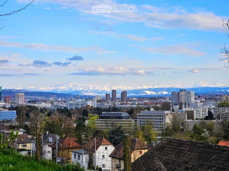 Panoramic cityscape with a mix of residential and commercial buildings, surrounded by trees and distant snow-capped mountains under a clear blue sky.