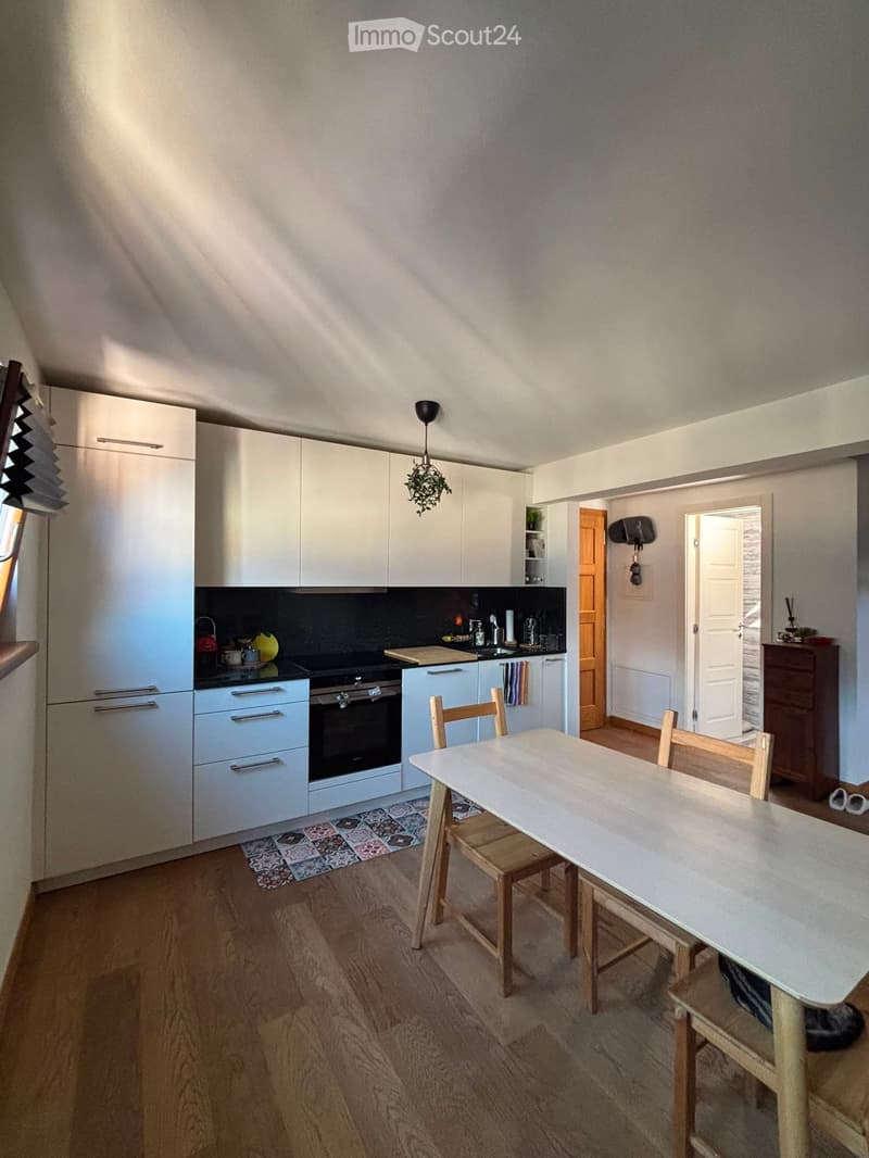 A modern kitchen with white cabinets, a black countertop, and a dining area with a table and chairs. The kitchen features a refrigerator, oven, sink, and various small appliances. A small plant hangs from the ceiling, and a colorful rug is placed on the f