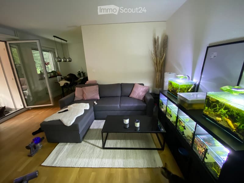 Modern living room with grey sectional sofa, pink cushions, coffee table, fish tank, large mirror, and a cat visible.