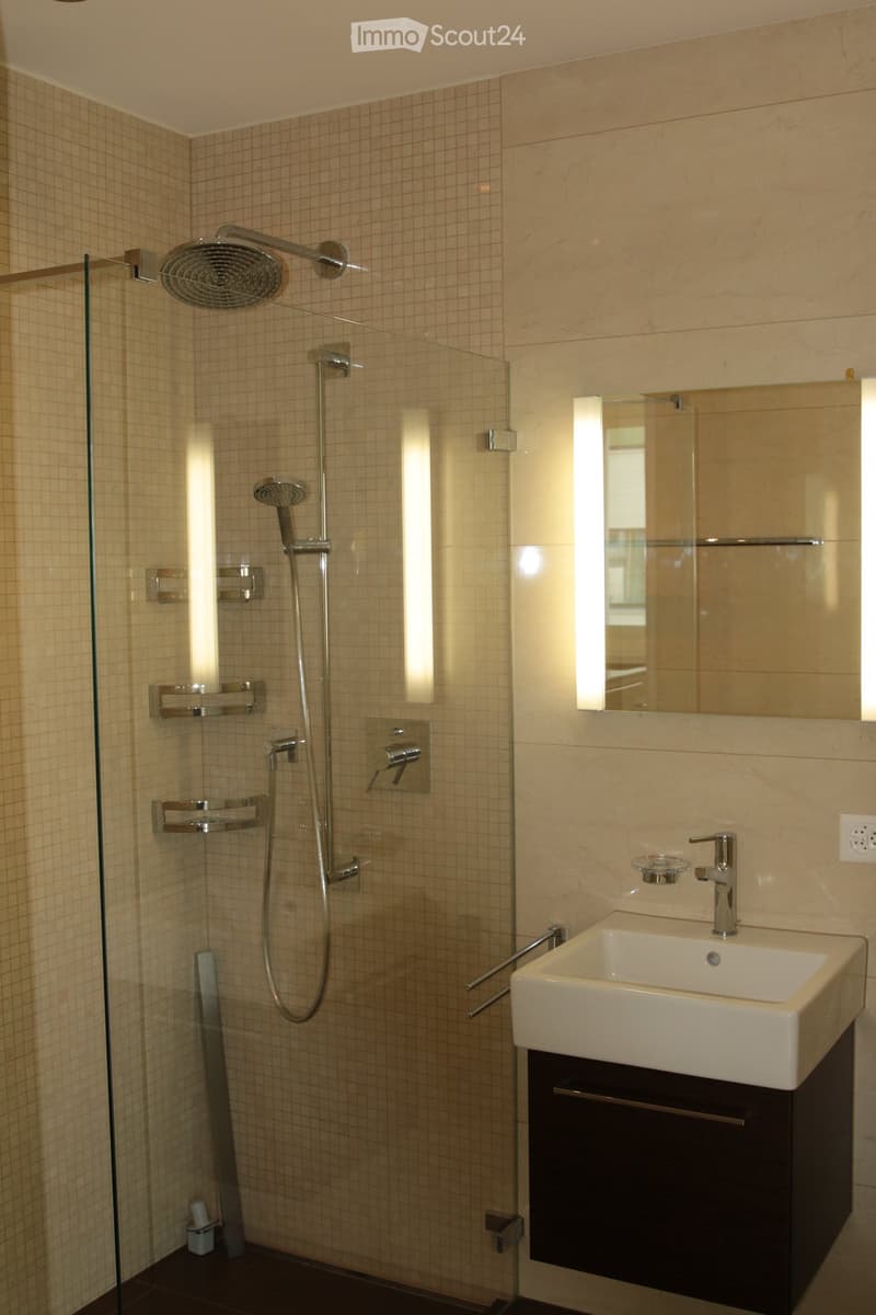 Modern bathroom with a glass-enclosed shower, a white sink with a modern faucet, and a large mirror above the sink. The shower features multiple showerheads and built-in shelves.