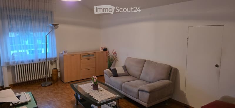 Living room with a grey sofa, glass coffee table, floor lamp, wooden cabinet, and decorative vase on the table.