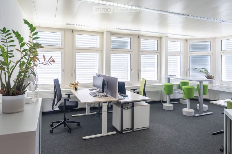 Modern office space with desks, ergonomic chairs, computers, green stools, and potted plants near large windows with blinds.