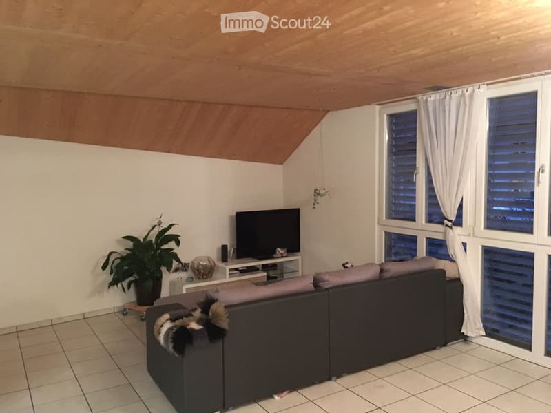 Living room with a grey sectional sofa, a television on a stand, a potted plant, and large windows with white curtains.