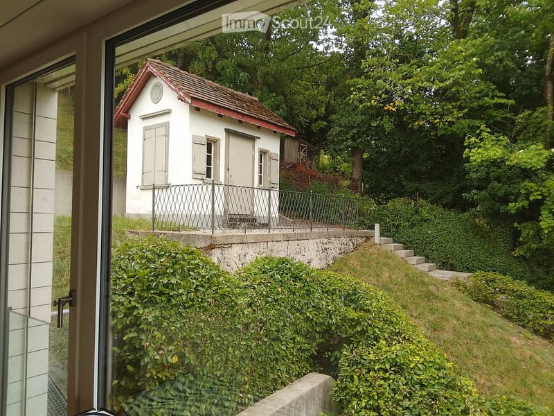 View from a window shows a small white shed with a red roof, surrounded by greenery and a concrete retaining wall.