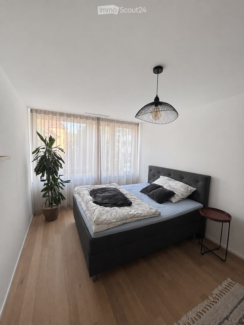 A modern bedroom with a wooden floor, a large bed with pillows and a blanket, a nightstand, a pendant light fixture, and a potted plant near the window with sheer curtains.