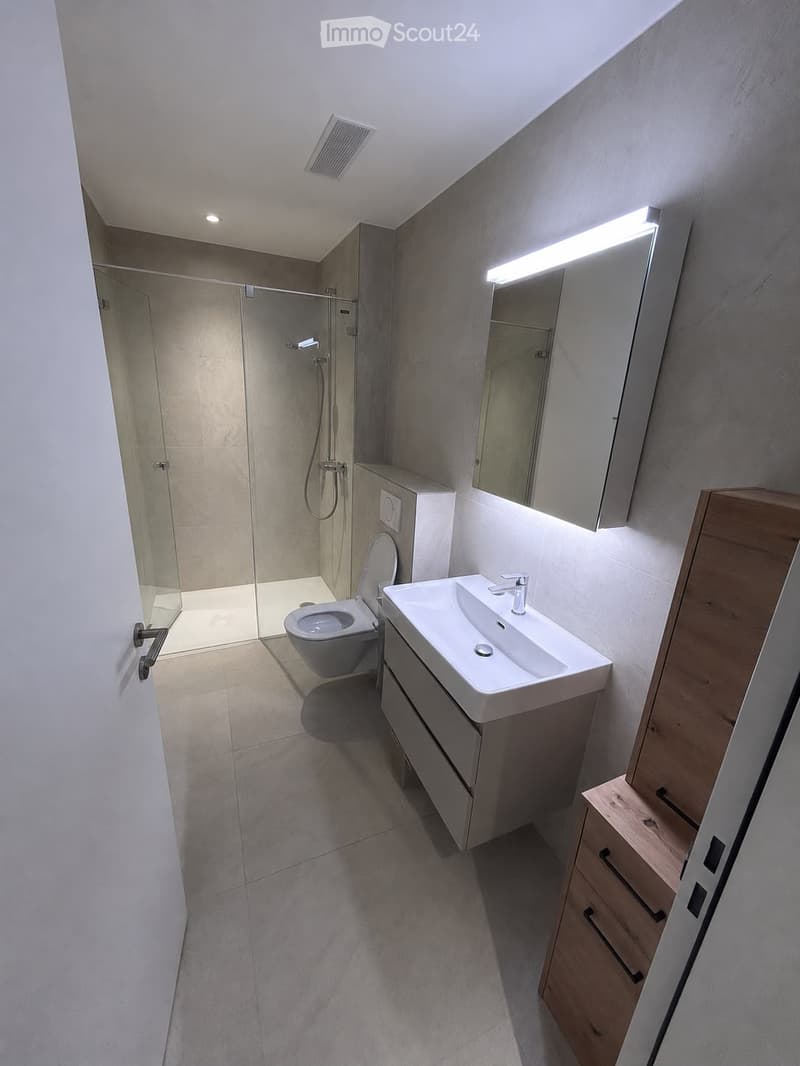 Modern bathroom with a white sink, faucet, mirror, toilet, and a glass-enclosed shower. Features a wooden cabinet and sleek, contemporary design.