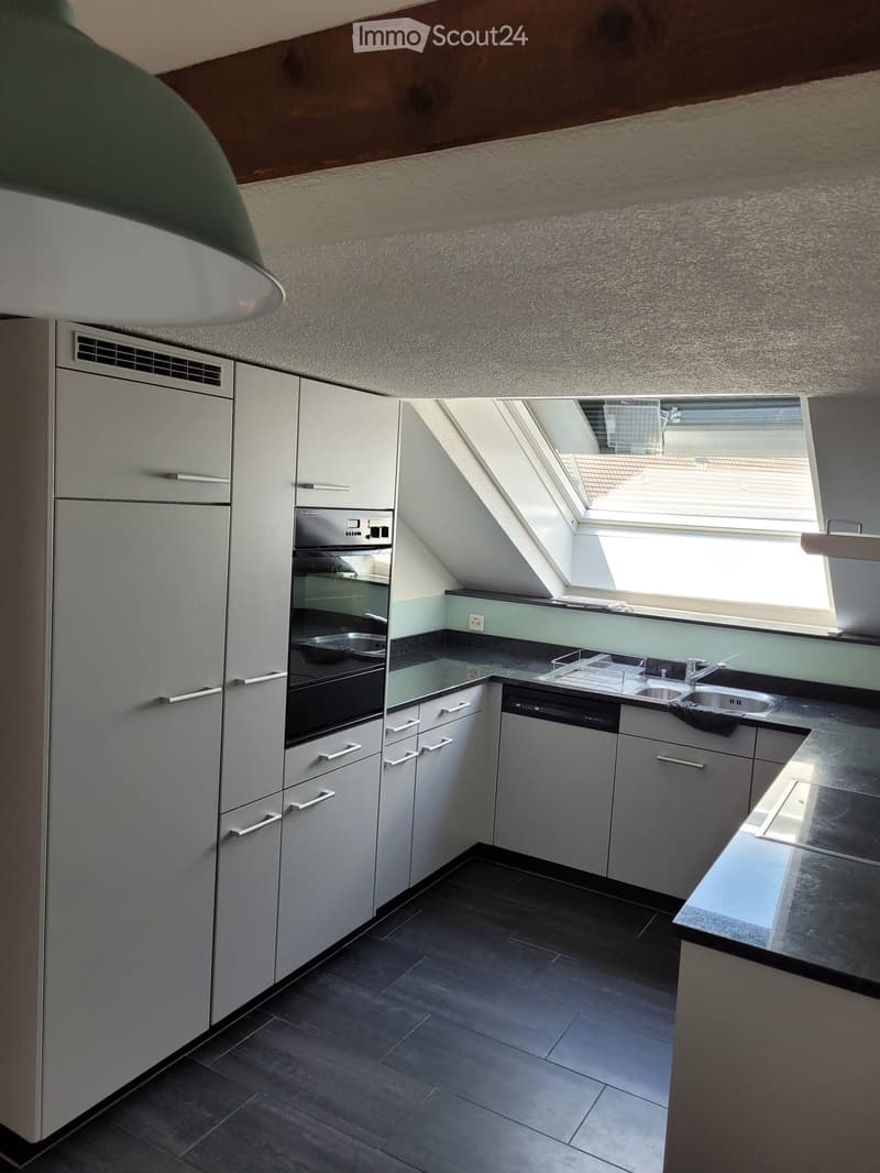 Modern kitchen with white cabinets, stainless steel appliances, dark countertops, and a skylight window above the sink.