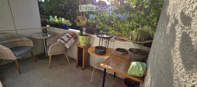 Balcony with wicker chairs, small tables, and several potted plants arranged on the floor and shelves.