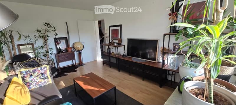 Bright living room with wooden flooring, a grey sofa with colorful cushions, a wooden coffee table, a flat-screen TV on a wooden stand, side tables with decorative items, and several potted plants adding greenery.