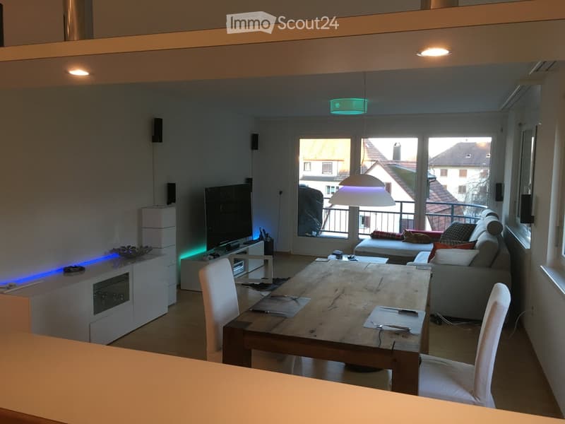 Modern living and dining area with a sofa, dining table, chairs, TV, and a cat on the sofa. Large windows offer a view of the city.