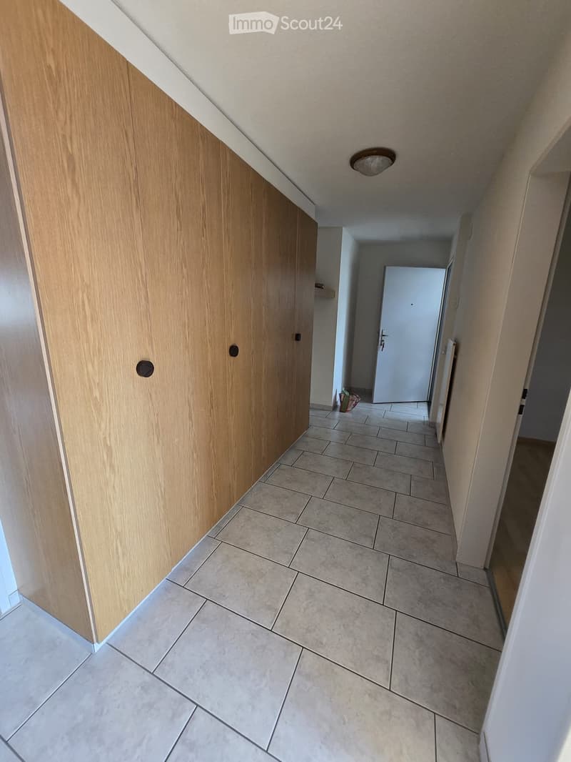 A narrow hallway with tiled flooring, wooden cabinetry on one side, and a closed door at the end.