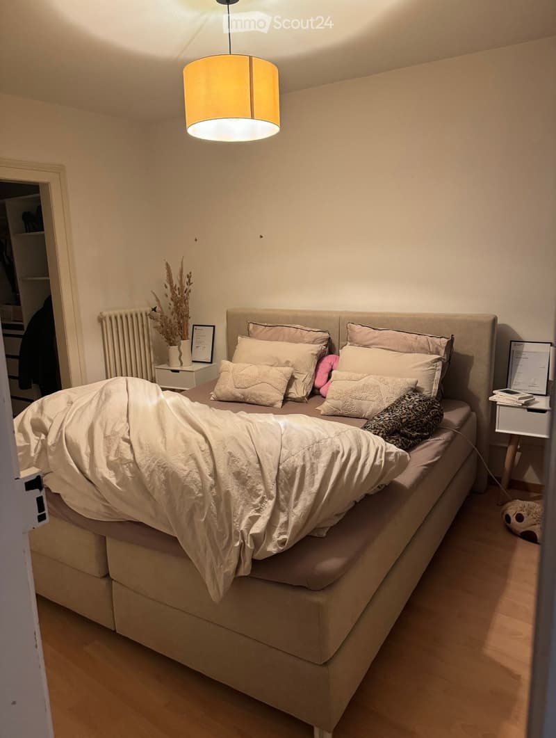 Cozy bedroom with a large bed, nightstands, a hanging lamp, and decorative items including a vase with dried plants and a picture frame.