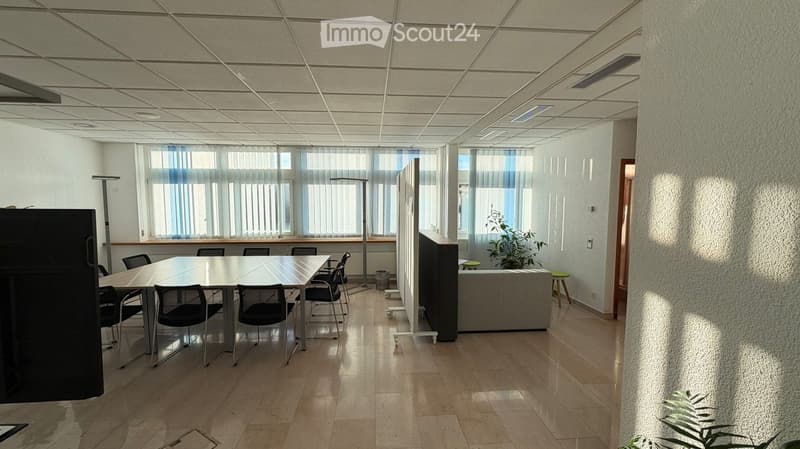 large room, large desk, black chairs, green plants, lamps, gray couch, tiled floor