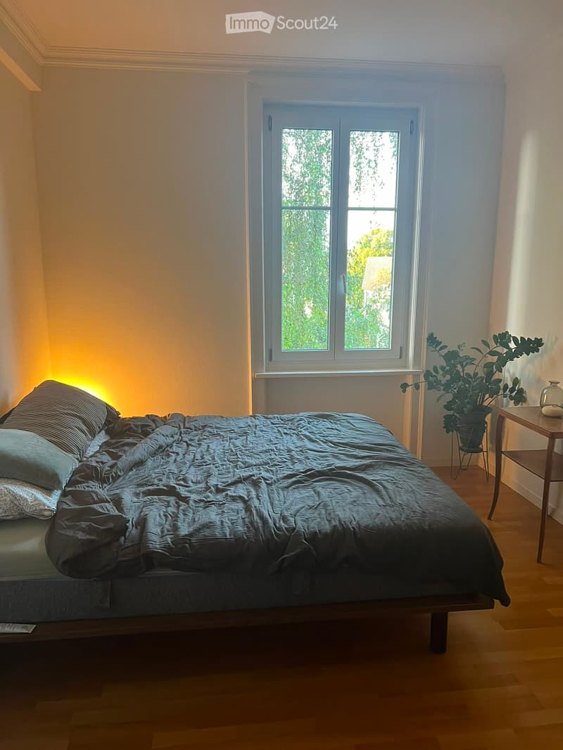 Cozy bedroom with a wooden floor, large window, neatly made bed with dark bedding, nightstand with a plant, and a decorative vase.