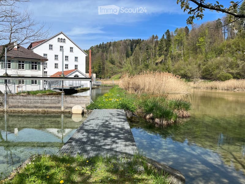 A serene outdoor area featuring a calm body of water with a wooden dock extending into it, surrounded by lush greenery and a white house with multiple windows and a chimney in the background.