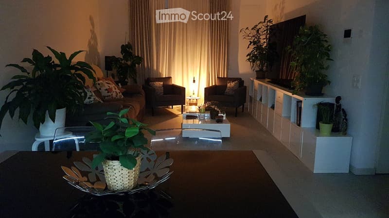 A cozy living room with a sofa, armchairs, coffee table, TV stand, and several potted plants. The room features large windows with curtains and a warm, inviting ambiance.