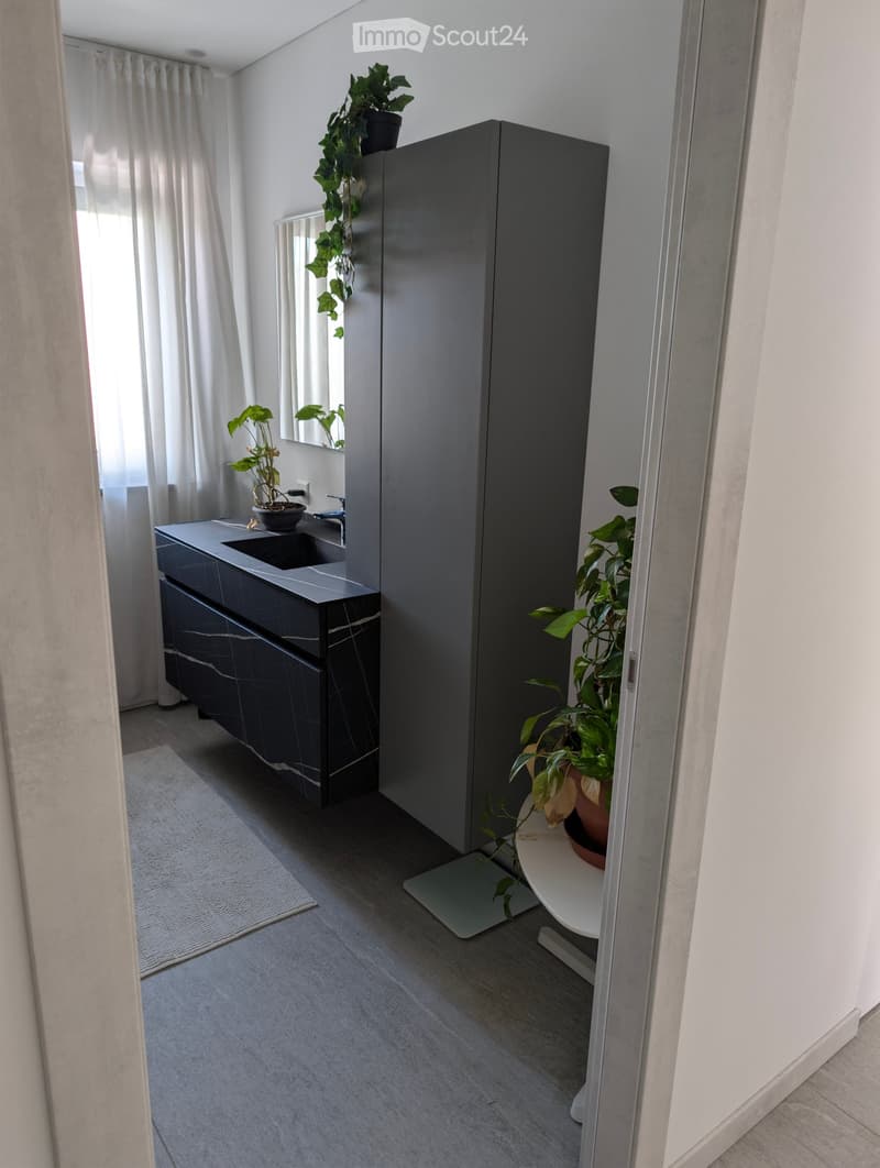Modern bathroom with a dark grey sink, mirror, and potted plants on a white side table.