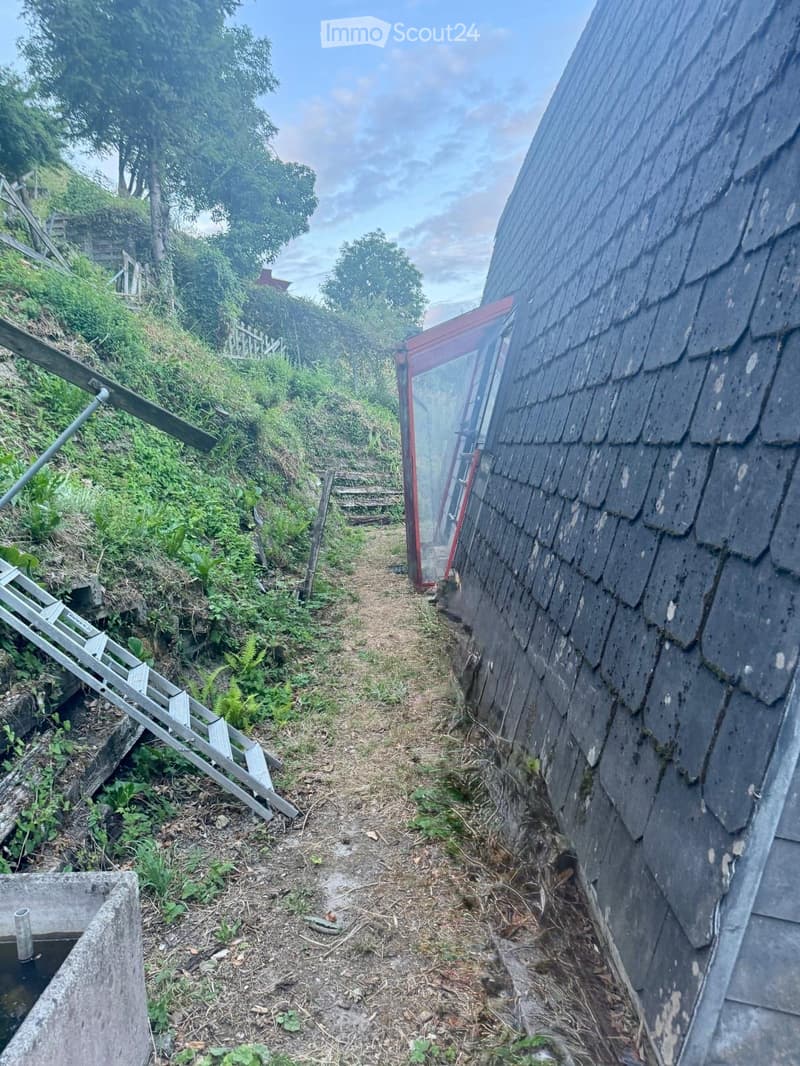A narrow, overgrown pathway leading to a red-roofed outbuilding, surrounded by greenery and a wooden fence on one side.