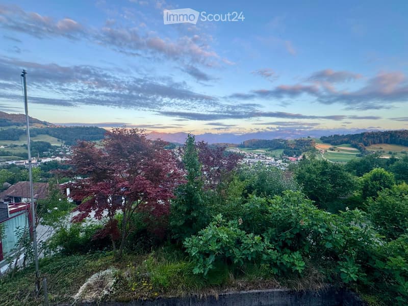A scenic view from a garden or outdoor area, showing a town with houses, trees, and distant mountains under a partly cloudy sky.