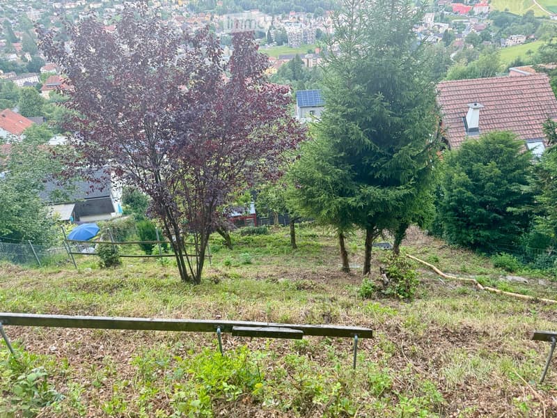 A sloped garden area with trees, grass, and a fence, overlooking a town with houses and buildings in the background.