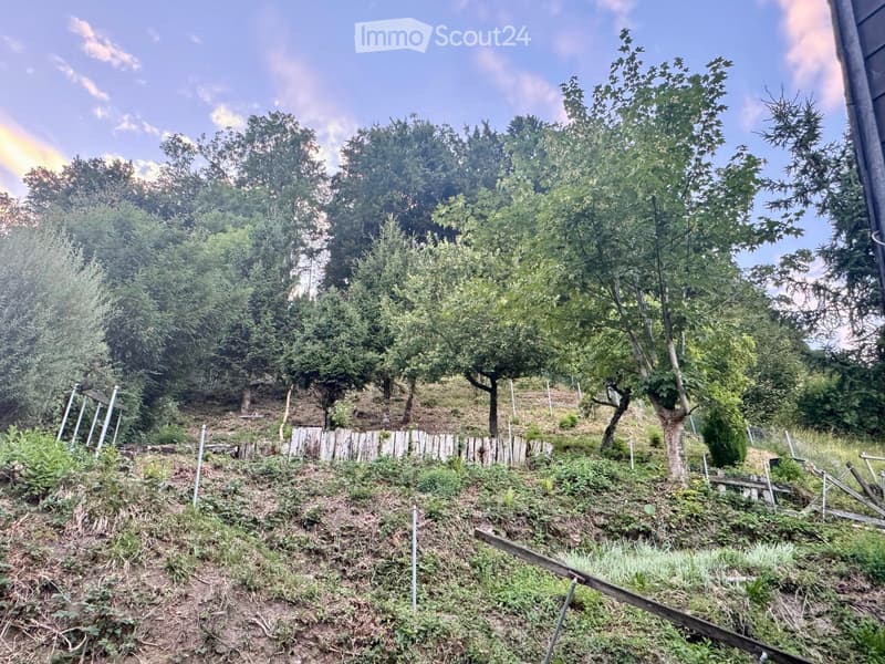 A sloped garden area with a wooden fence, trees, and various plants, under a partly cloudy sky with a visible rainbow in the distance.