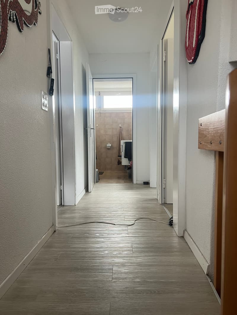 Clean, modern hallway with light-colored wooden flooring, white walls, and several doors leading to different rooms. A small bathroom is visible at the end of the hallway.
