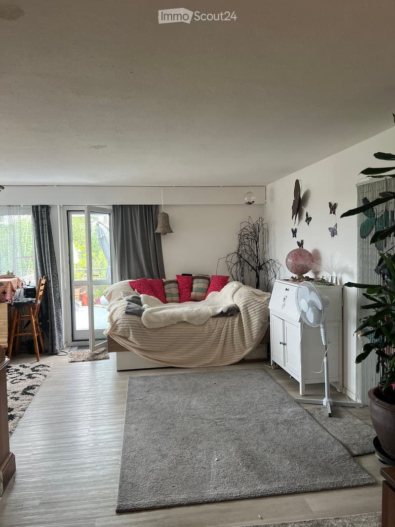Cozy living room with a large sofa, colorful pillows, a fan, a small table with a chair, and decorative plants. The room features wooden flooring, a large window with curtains, and a gray rug.