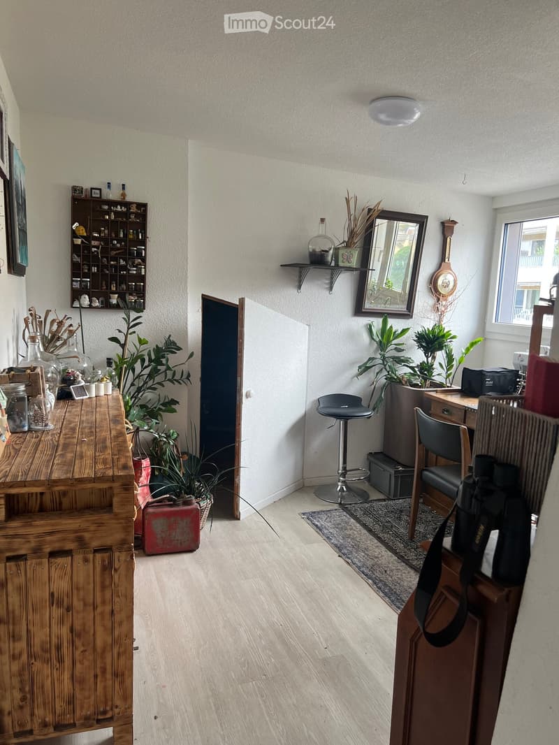 A cozy, well-lit room with light wooden flooring, a wooden table, a stool, a chair, a mirror, shelves with decorative items, and several potted plants.