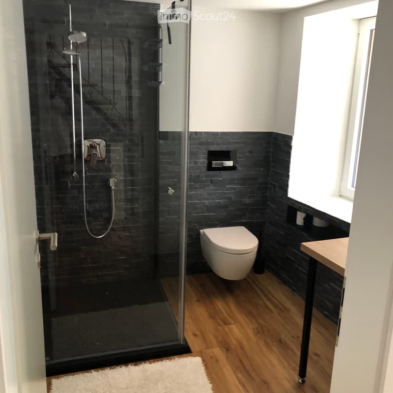 Modern bathroom with dark tiled walls, wooden flooring, a glass-enclosed shower, a toilet, and a sink with a faucet.