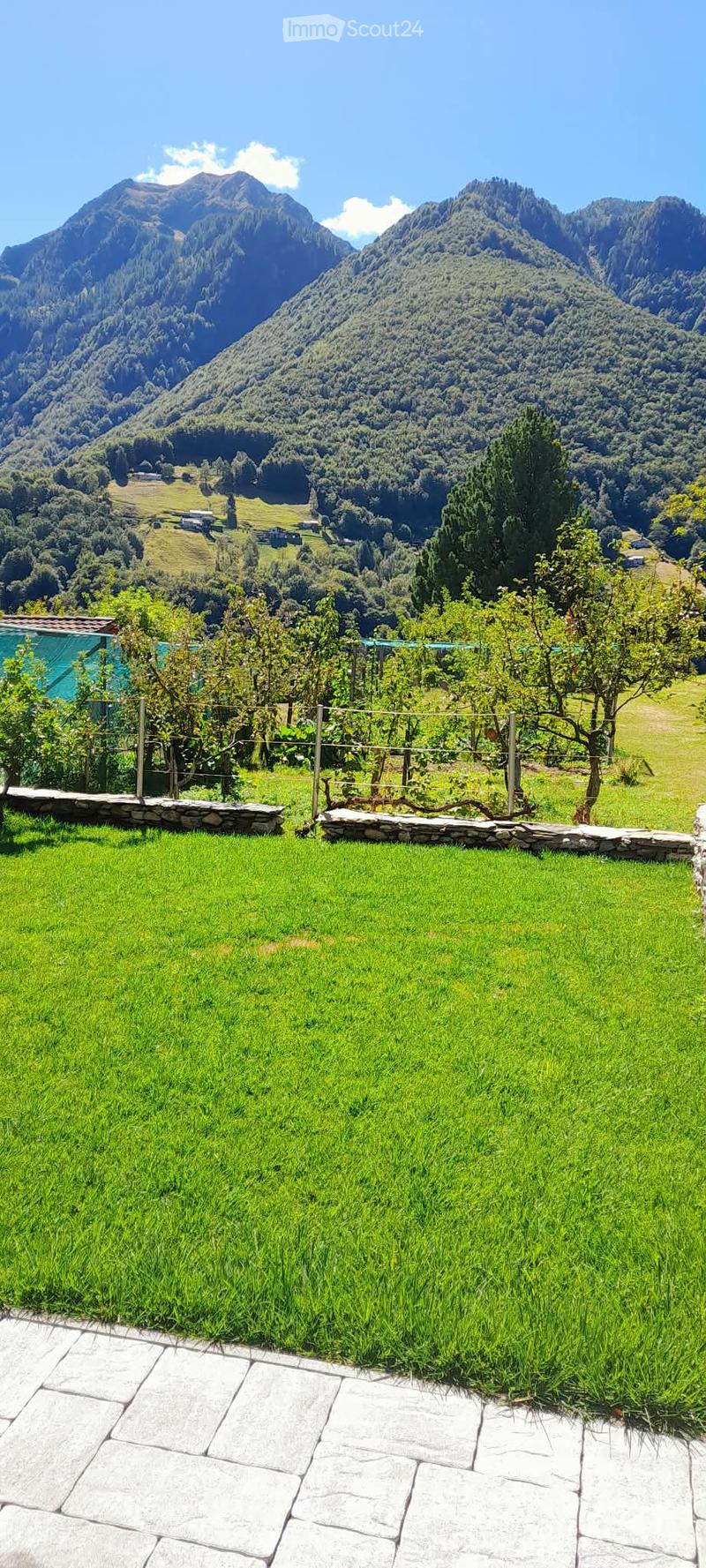 Lush green lawn with stone pathways, small trees, and a scenic mountain backdrop.