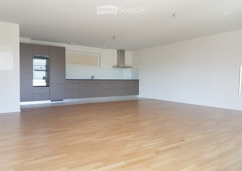 Empty kitchen with modern grey cabinets, stainless steel appliances, and wooden flooring.