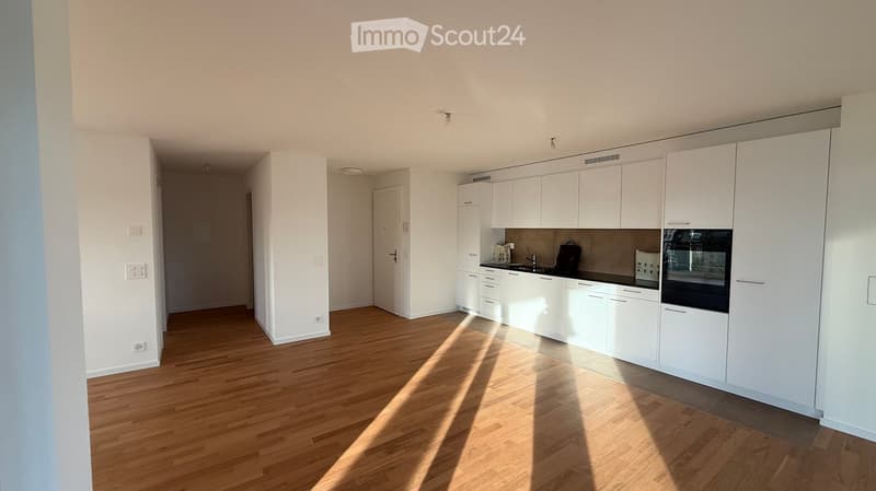 Modern kitchen with white cabinets, wooden flooring, and built-in appliances including a sink and oven.