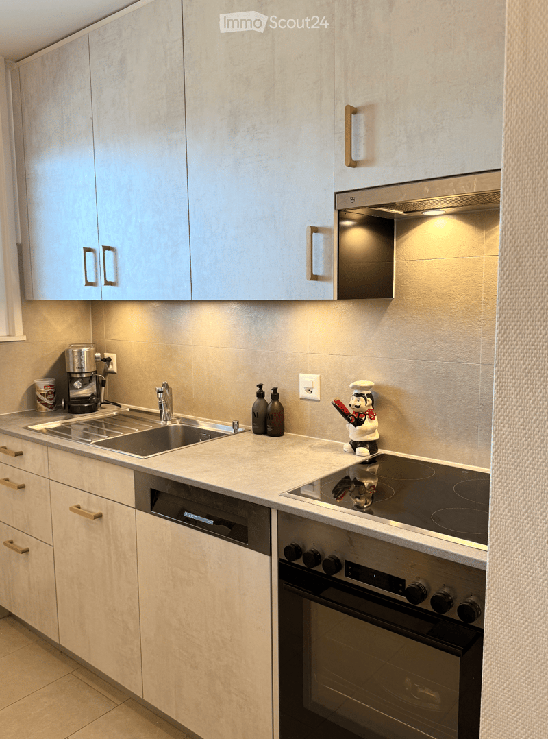 Modern kitchen with light grey cabinets, stainless steel appliances, and a marble countertop. Features include a sink, coffee maker, induction cooktop, oven, and dishwasher.