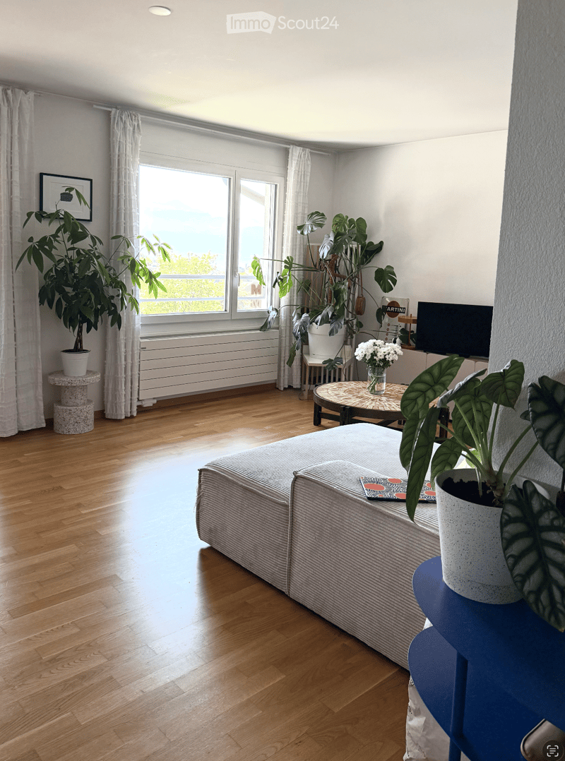 Bright living room with wooden flooring, large windows, and a view. Features a sofa, coffee table, side table, potted plants, and a television.