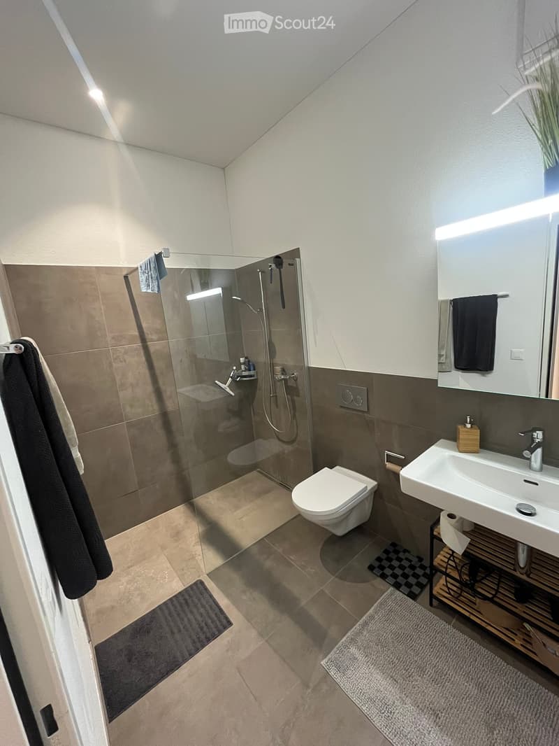 Modern bathroom with a glass-enclosed shower, toilet, sink, and mirror. Features include tiled walls, a wooden shelf, and towels.