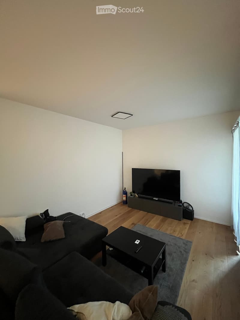 Modern living room with a black sectional sofa, a black coffee table, a flat-screen TV on a stand, and a gray area rug on a wooden floor.