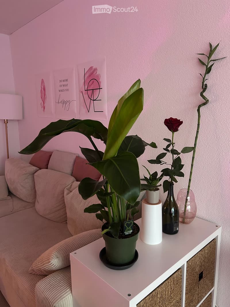 A cozy living room with a pink sofa, a white side table holding a large green plant, a vase with a rose, and a bottle. The walls are painted a soft pink and decorated with framed artwork.